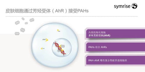 技術賦能 智美未來——梅鶴祥談化妝品新科技趨勢與前瞻思考